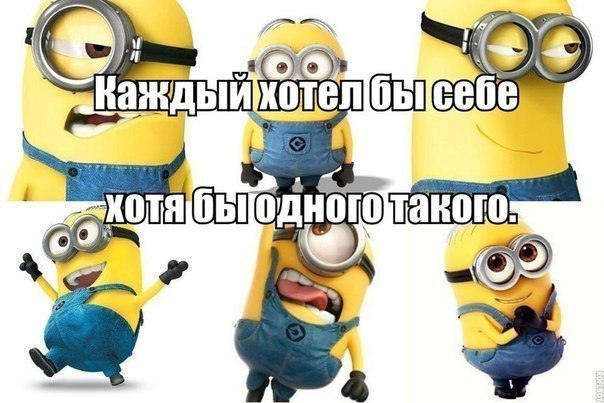 2181653.jpg