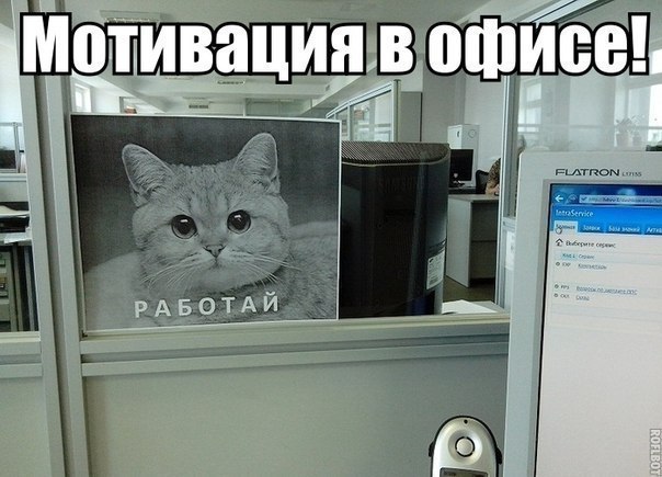 2187570.jpg