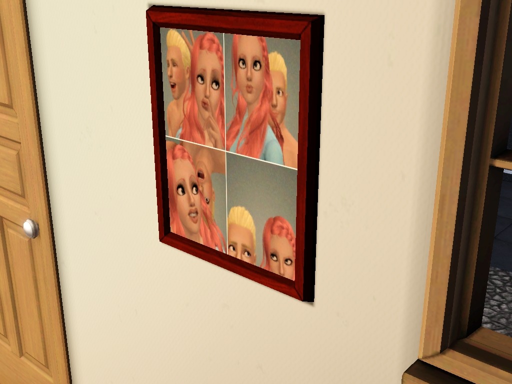 2226019.jpg
