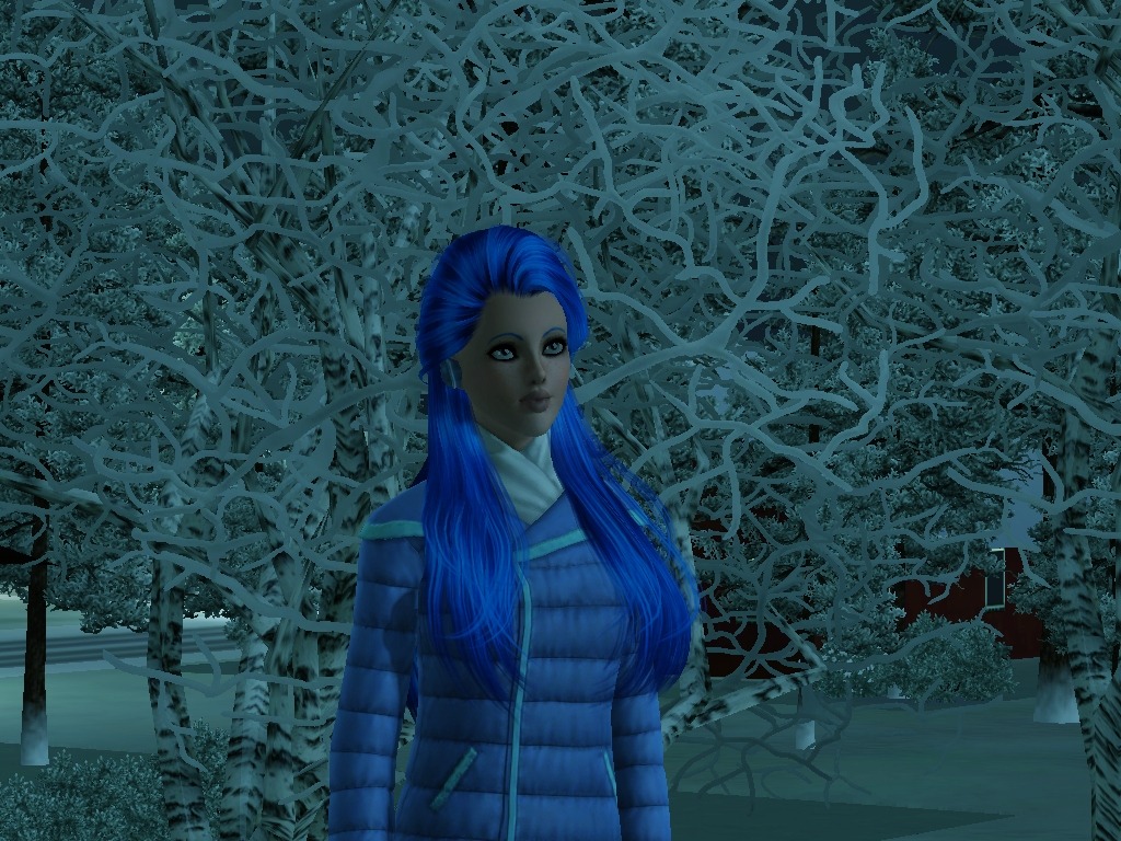 2235295.jpg