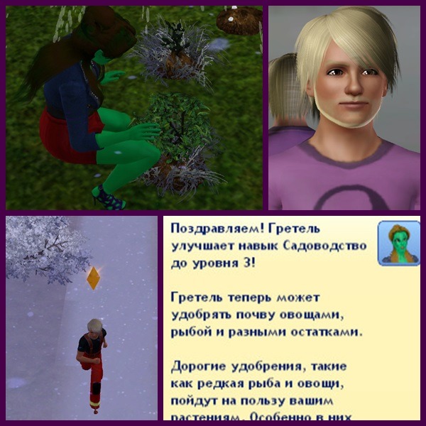 2241365.jpg