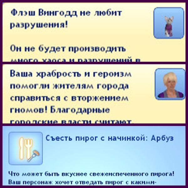 2241488.jpg