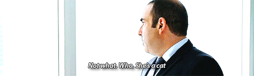 http://4put.ru/pictures/max/732/2249319.gif