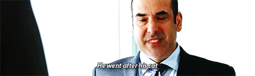 http://4put.ru/pictures/max/732/2249321.gif