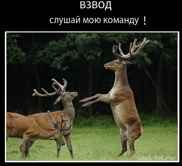 http://4put.ru/pictures/max/735/2258966.jpg