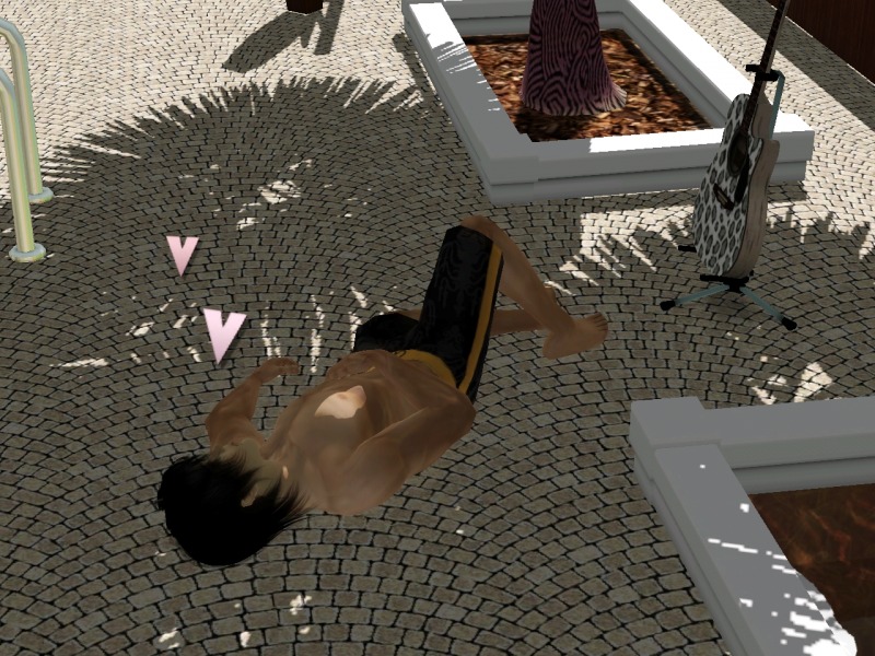 2259982.jpg
