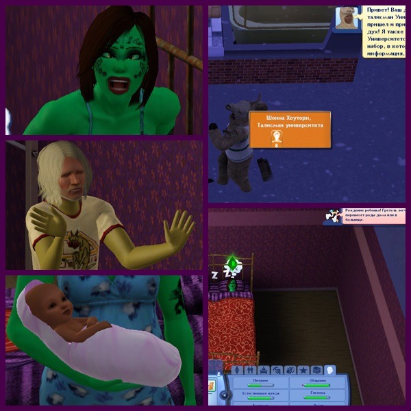 2298080.jpg