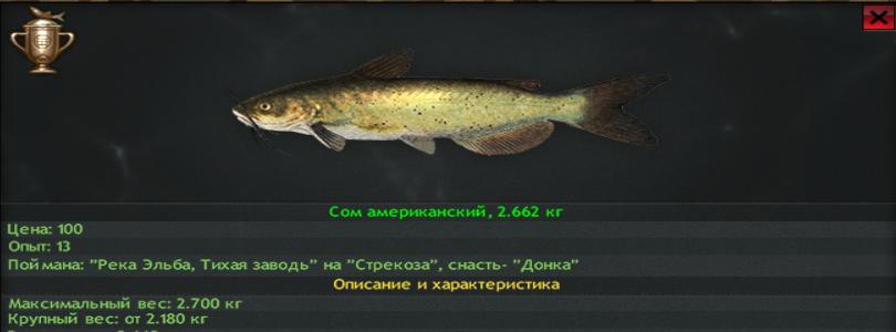 Что такое ловить в проводку Что такое ловить в проводку