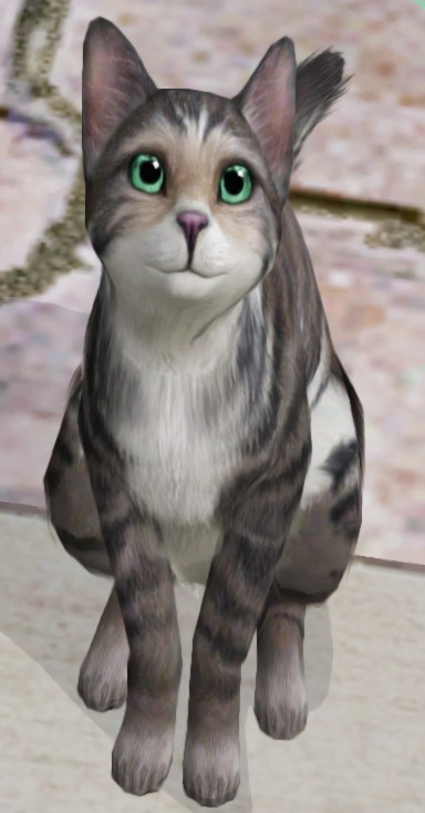 232976.jpg