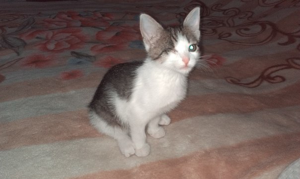 user posted image