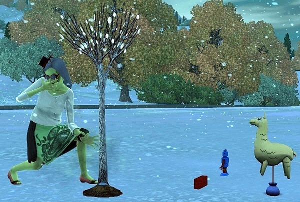 2321148.jpg