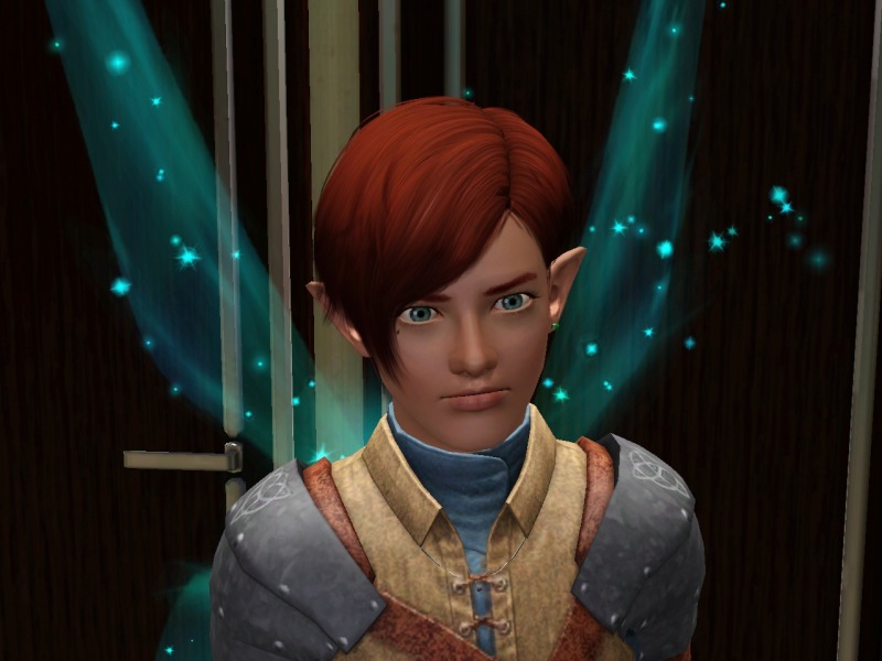 2321575.jpg