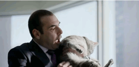 http://4put.ru/pictures/max/756/2323337.gif