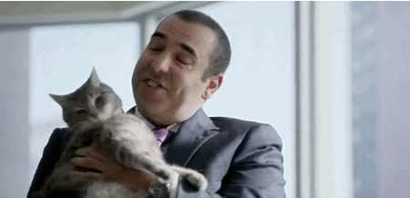http://4put.ru/pictures/max/756/2323340.gif