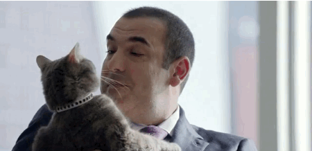 http://4put.ru/pictures/max/756/2323343.gif