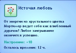 2343495.jpg