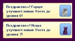 2357899.jpg