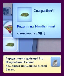 2358003.jpg