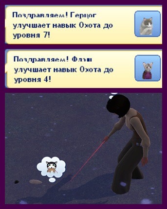2358088.jpg