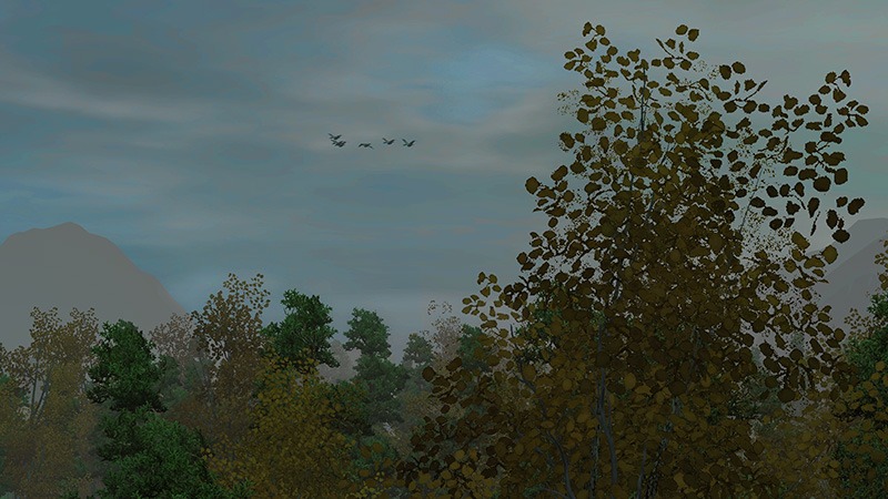 2390126.jpg