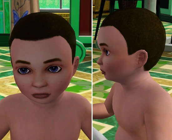 2420794.jpg