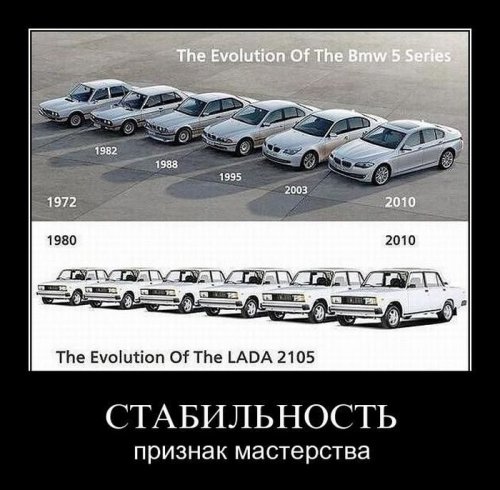 2426553.jpg