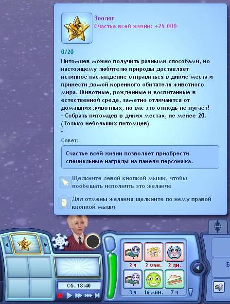 2431856.jpg