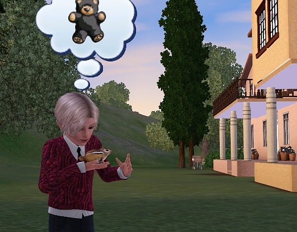 2431935.jpg