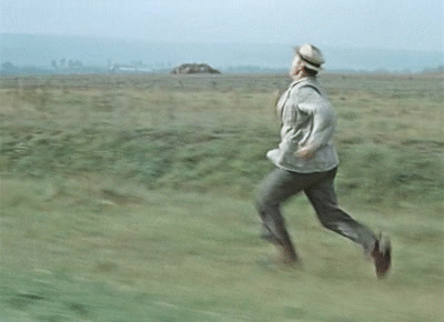 2446077.gif