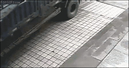2446786.gif