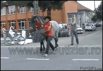 2452465.gif
