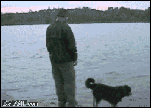 2452470.gif