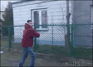 2452493.gif