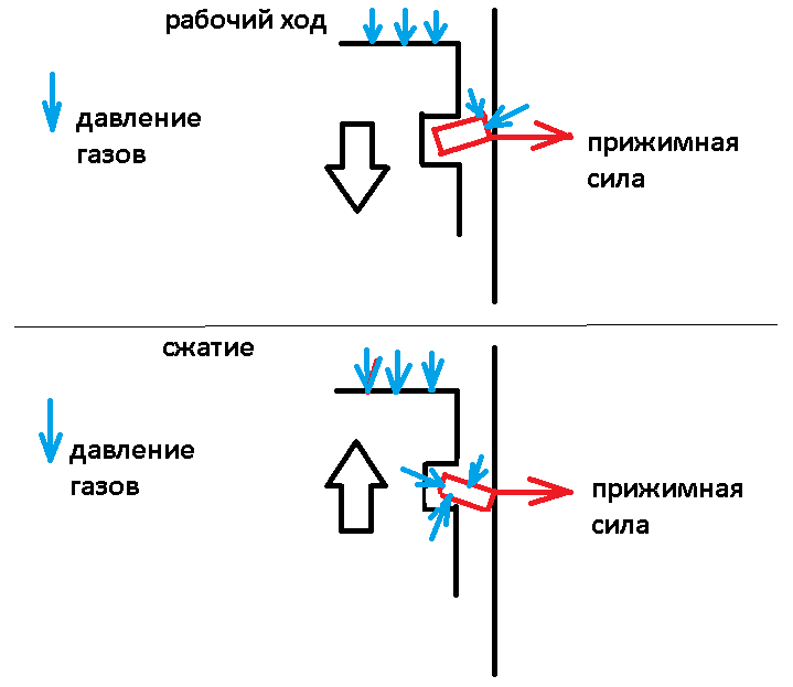 2555907.jpg