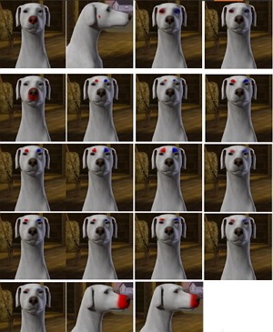 2564542.jpg