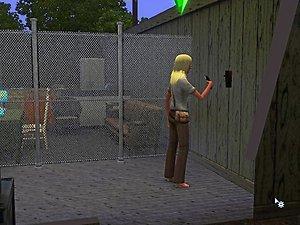 2571897.jpg