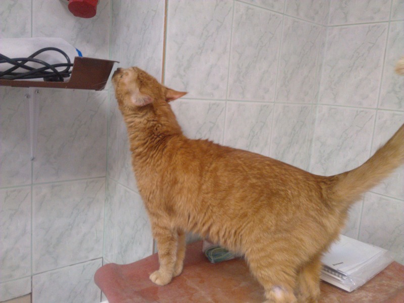 user posted image