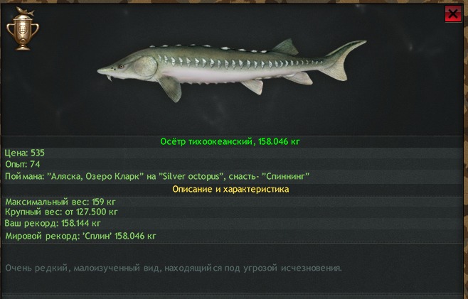 Наживка персидский осетр Наживка персидский осетр