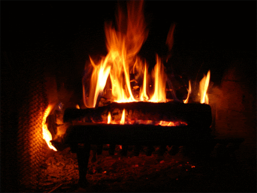 2600951.gif