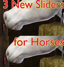 2603824.jpg