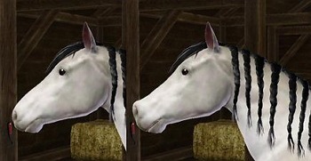 2603851.jpg