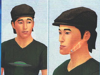 2604249.jpg