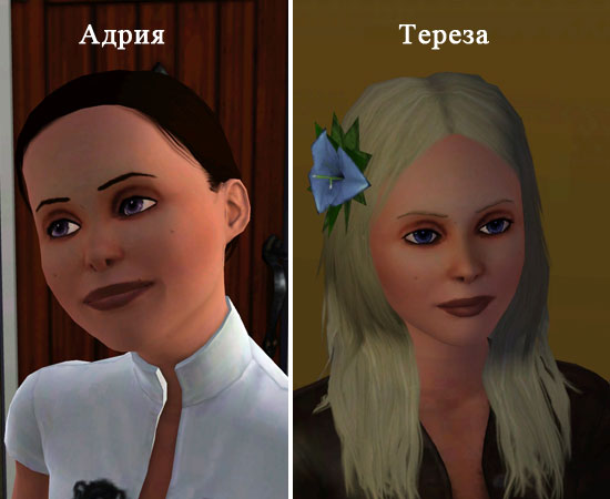 2620369.jpg