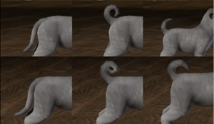 2629852.jpg