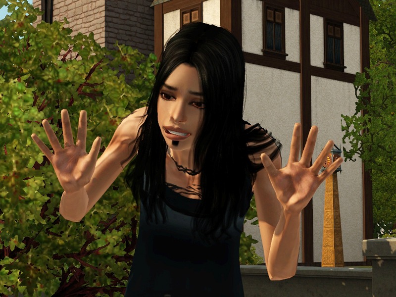 2631999.jpg