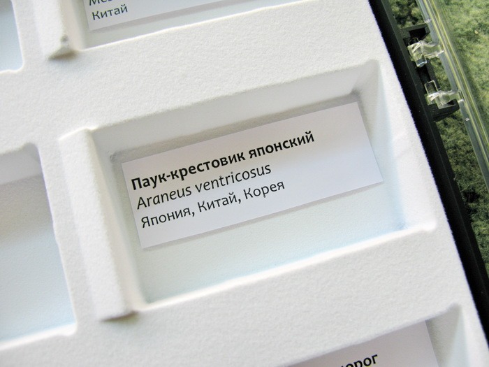 Насекомые и их знакомые 2014 - График Выхода и обсуждение