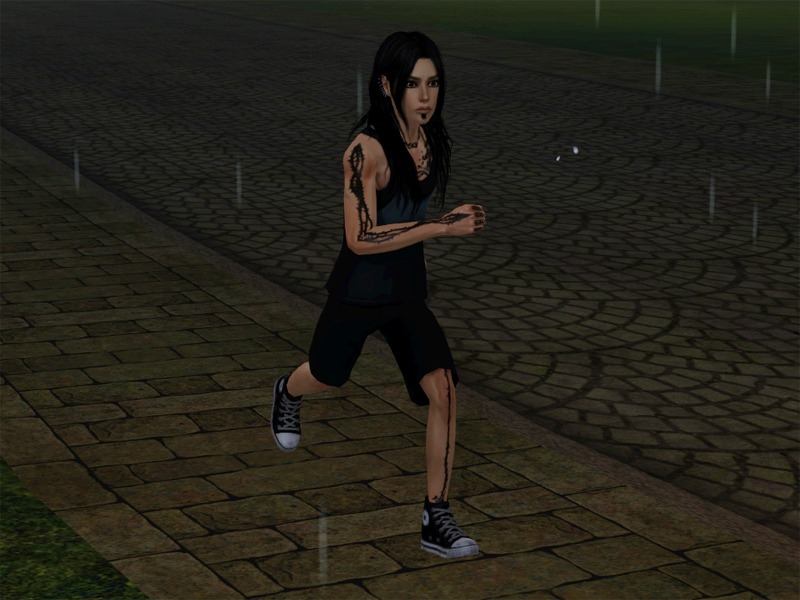 2632075.jpg