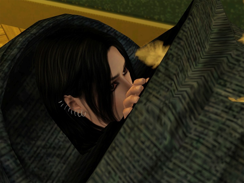 2632081.jpg