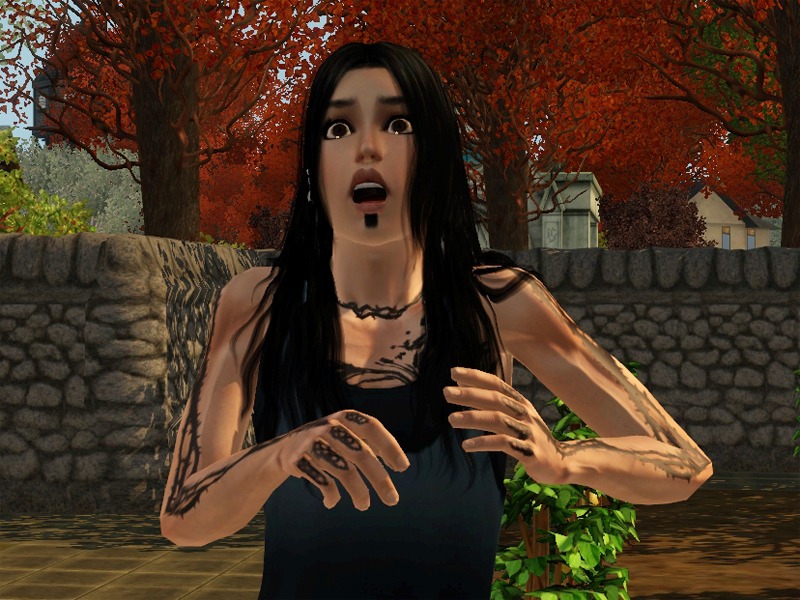2632088.jpg