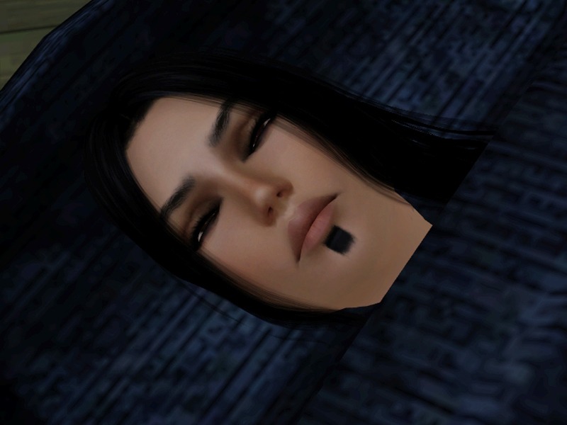 2633793.jpg